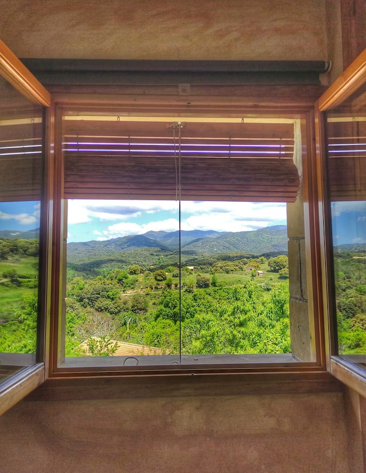 მისაღები ოთახი