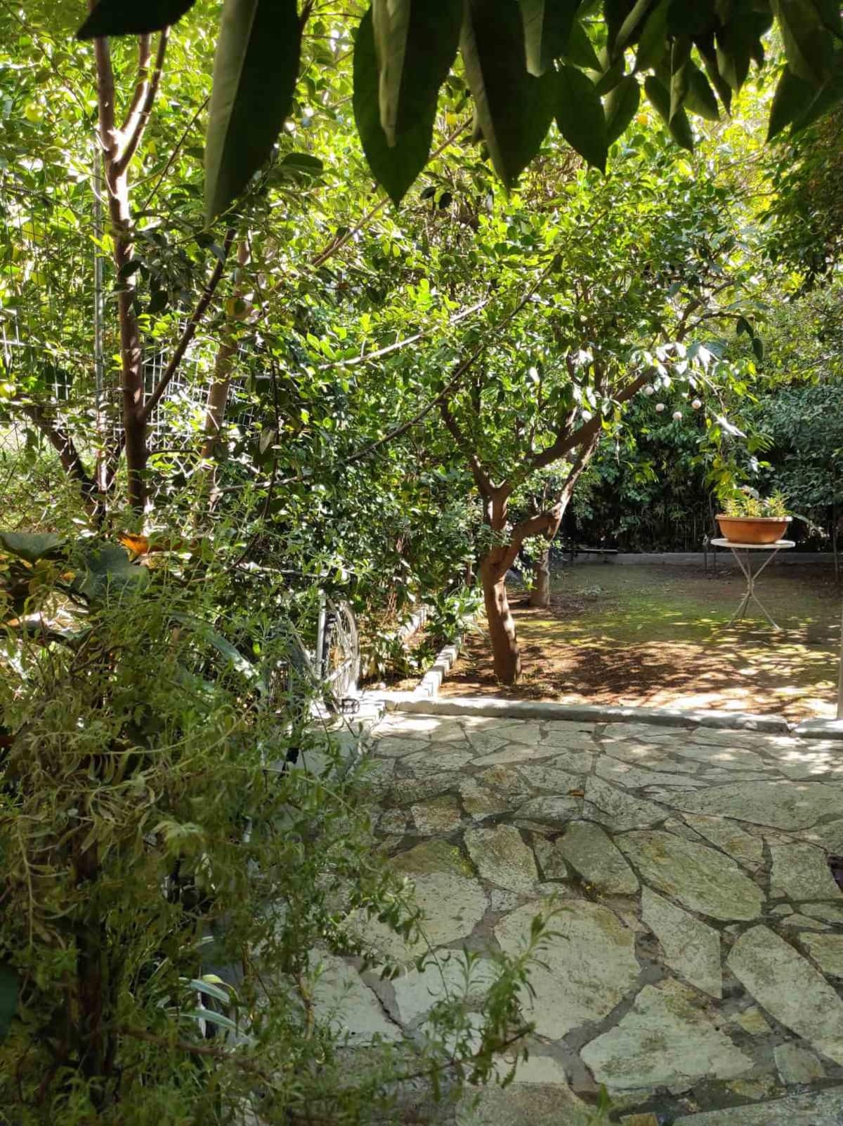 Κήπος με πορτοκαλιές