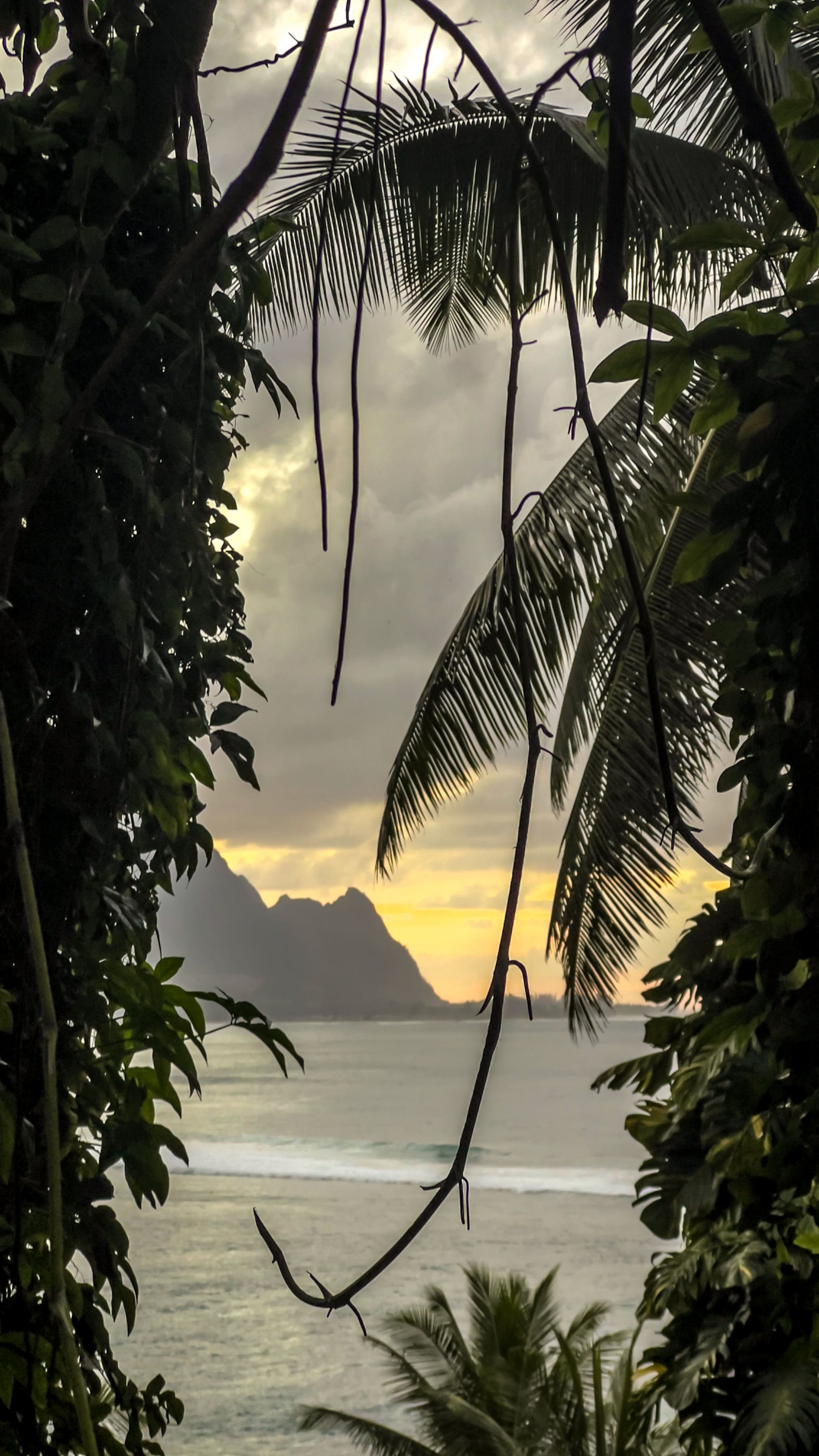 Home in Koloa · ★4.83 · 1 bedroom · 1 bed · 1 private bath - Image 22