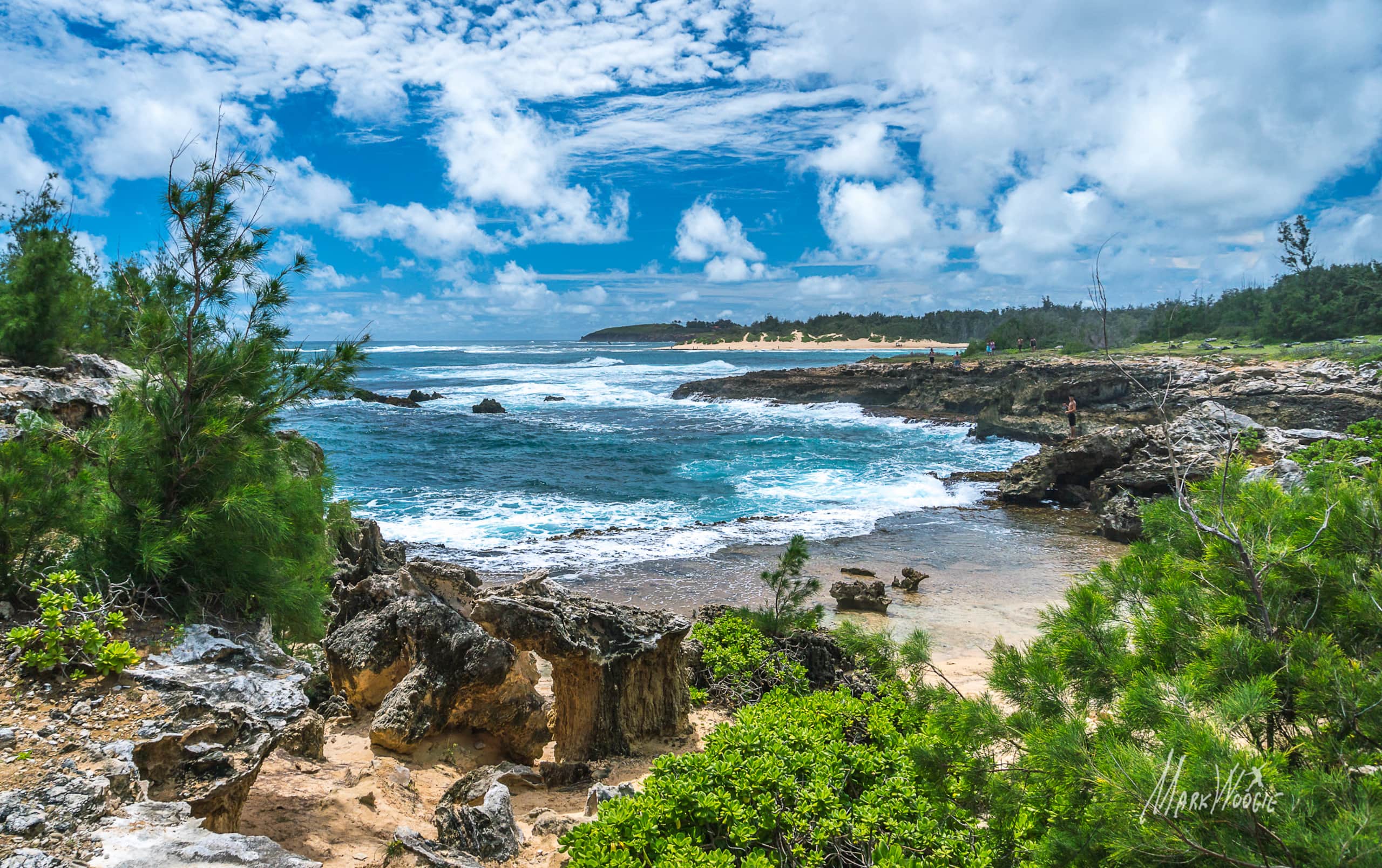 Home in Koloa · ★4.83 · 1 bedroom · 1 bed · 1 private bath - Image 23
