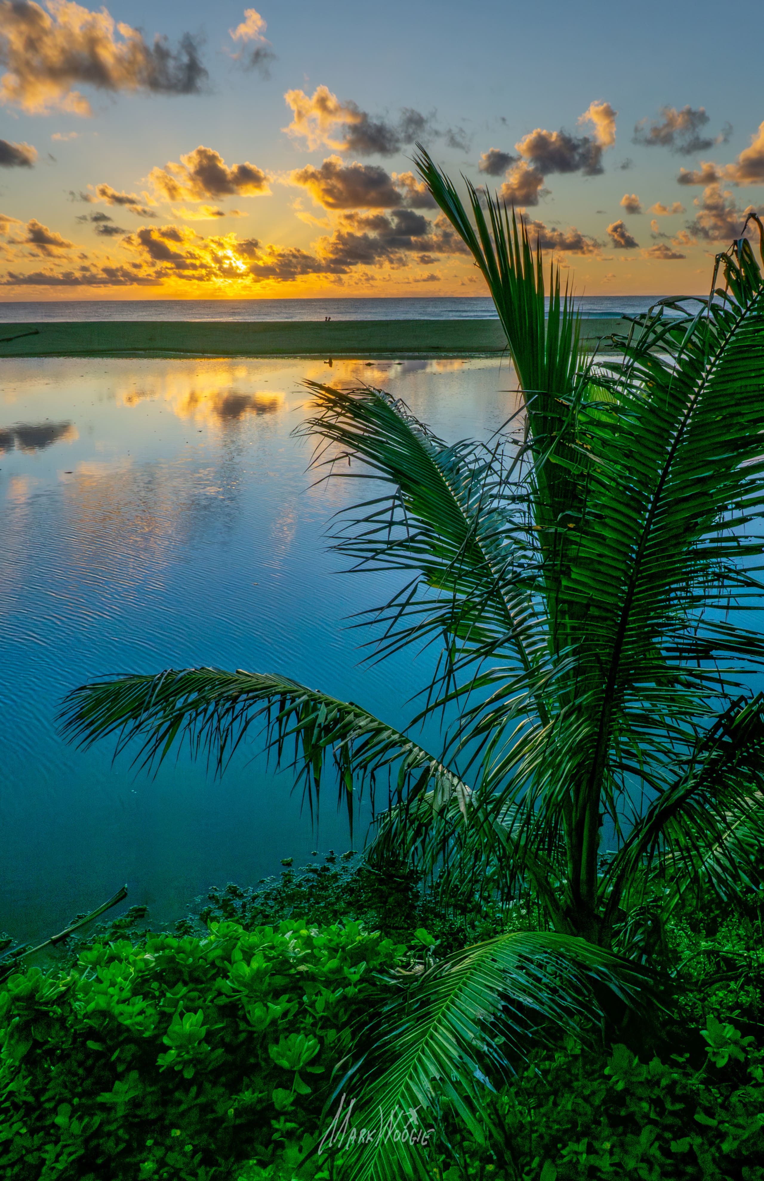 Home in Koloa · ★4.83 · 1 bedroom · 1 bed · 1 private bath - Image 27