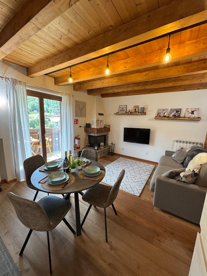 Panoramic apartment 150 meters from the slopes