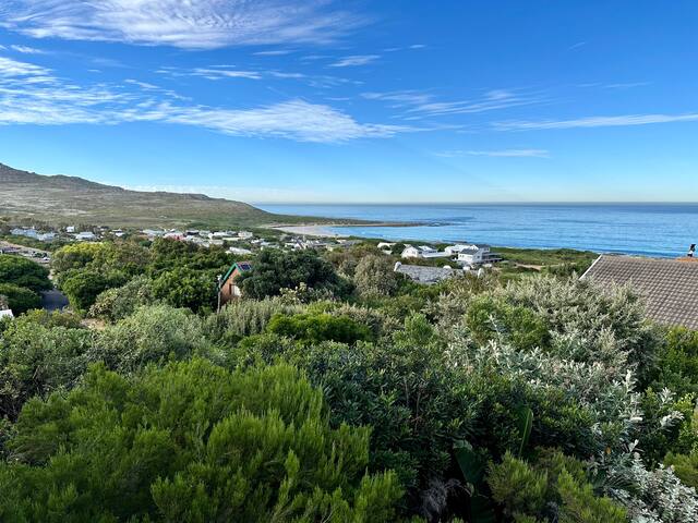 Stunning Scarborough Beach Villa gallery image 4