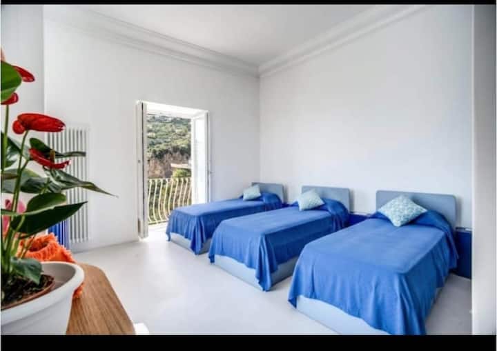 Palazzo Vittoria with wonderful terrace & Jacuzzi - Condominiums