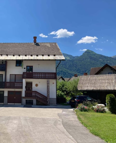 Spacious 12 person holiday house in Bohinj