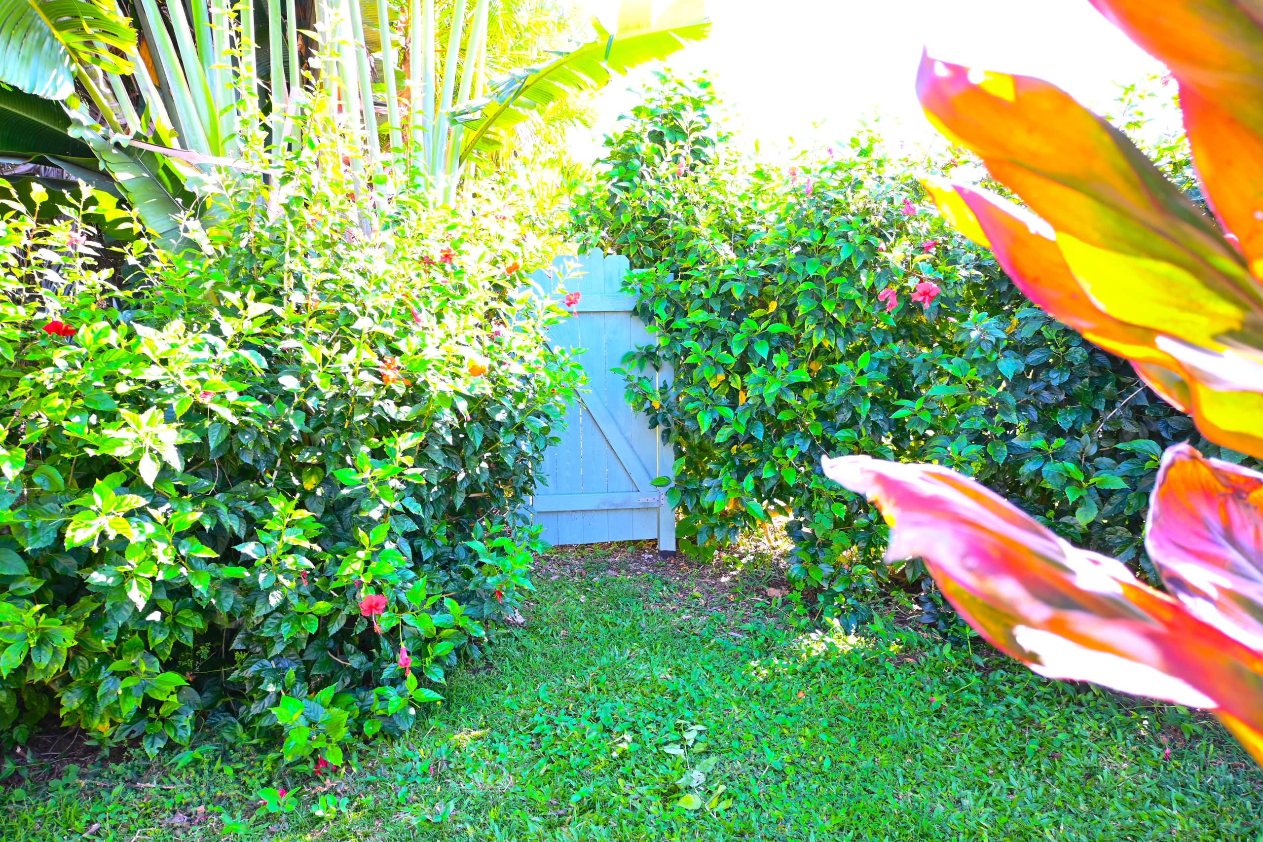 Guesthouse in Princeville · ★5.0 · Studio · 1 bed · 1 bath - Image 22