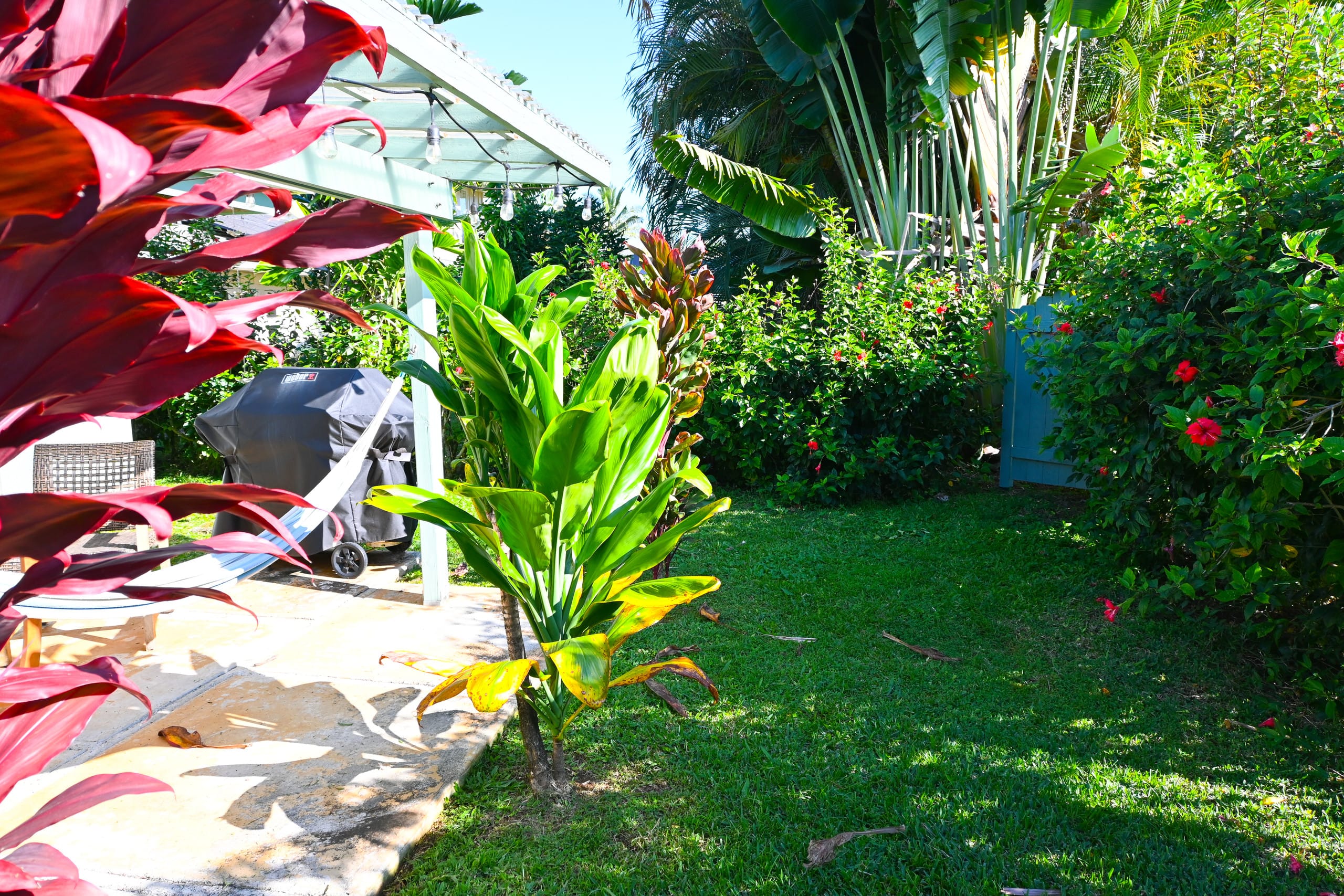 Guesthouse in Princeville · ★5.0 · Studio · 1 bed · 1 bath - Image 23