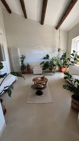 Stunning loft with view in piazza Fanti.