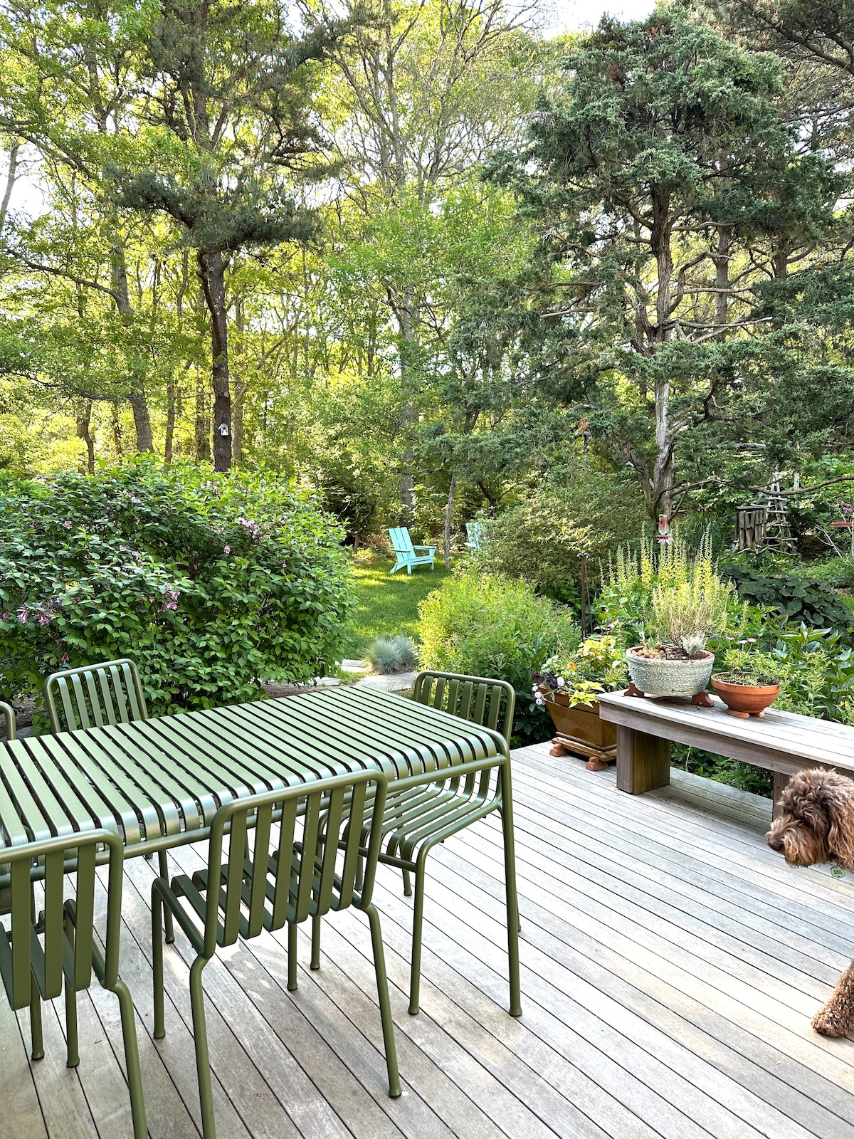 A wooden deck features a green dining set with several chairs and a table. Surrounding greenery includes various shrubs and trees, creating a natural setting. In the background, a pair of light blue Adirondack chairs is visible, inviting relaxation amid the lush landscape.