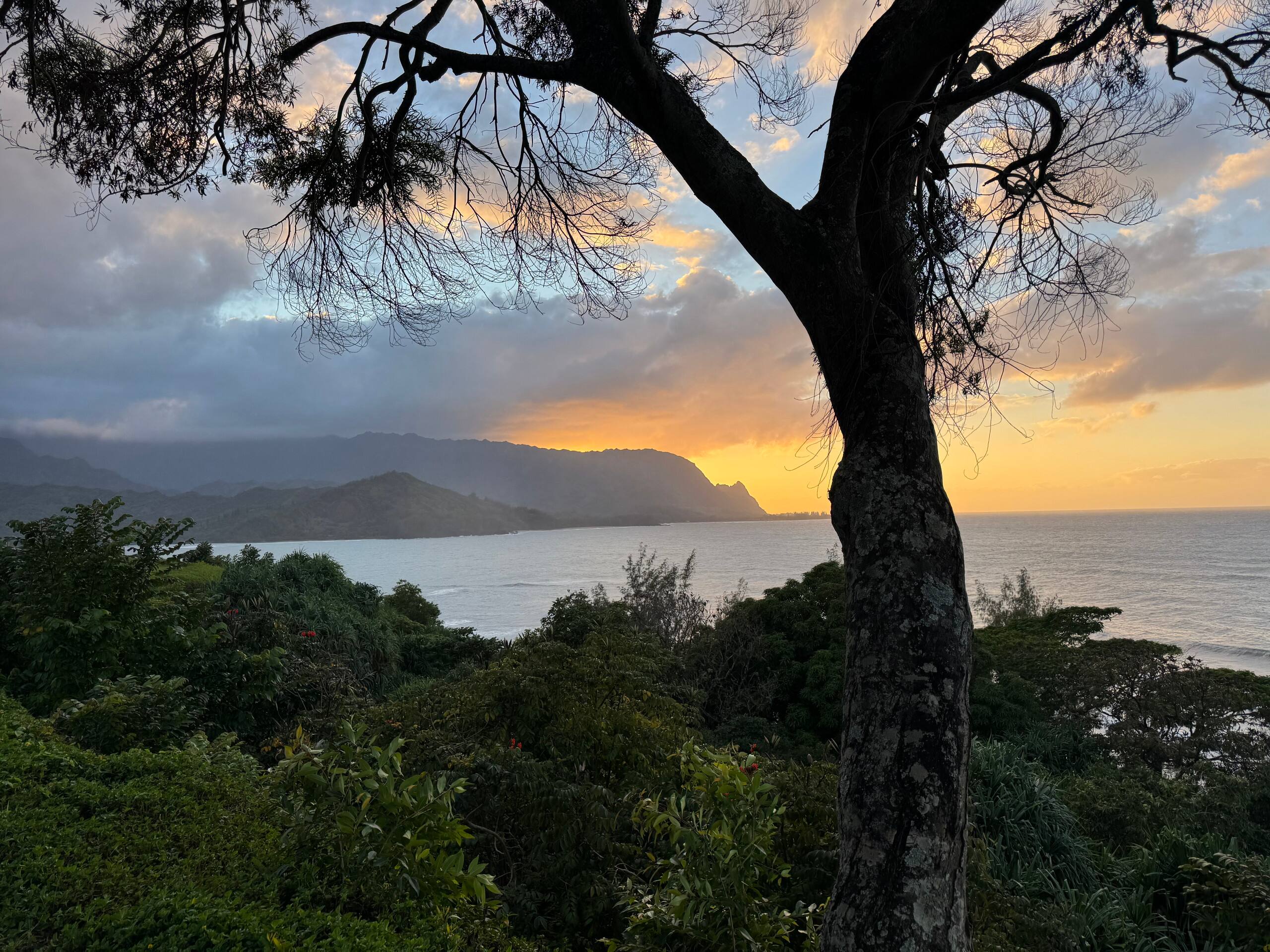Townhouse in Princeville · ★4.95 · 2 bedrooms · 3 beds · 2 private baths - Image 28