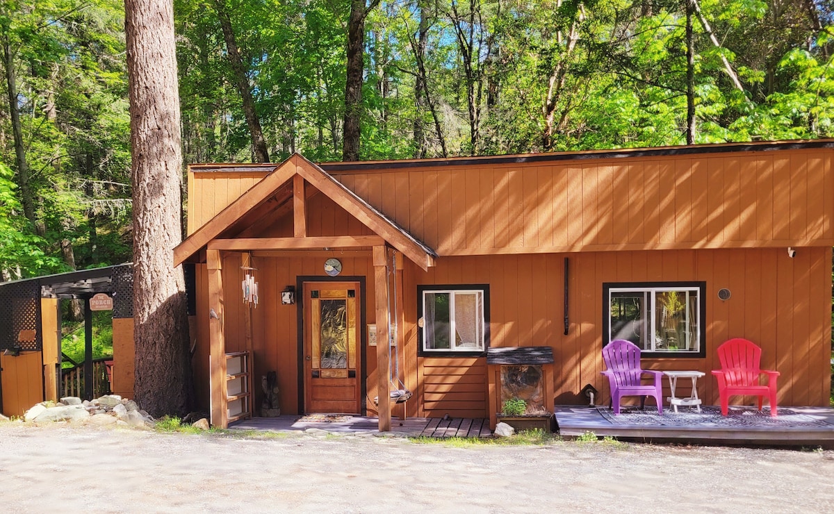 The exterior of a rustic cabin is highlighted, featuring wood siding and large windows. A welcoming entrance with a wooden door is adorned with a decorative light fixture. Two vibrant chairs sit on the porch beside a small table, surrounded by tall trees.