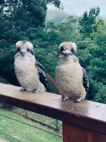 Villa with Spa & Breathtaking Views of Dandenongs gallery image 3