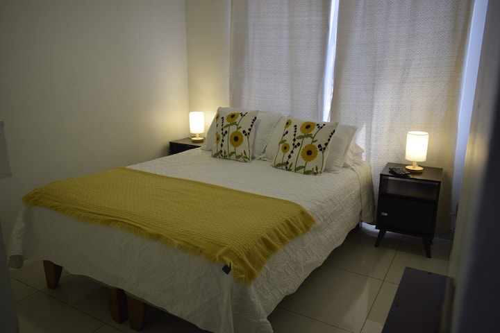 Hermoso Departamento 3 Dormitorio Santiago Centro - Independencia