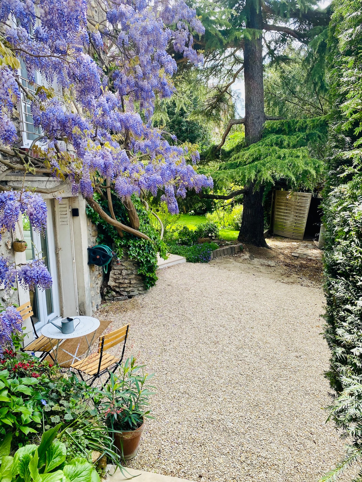 A garden area is framed by lush greenery and blooming purple wisteria. A small table with two chairs is positioned on the gravel path, inviting relaxation. The space showcases an accessible outdoor area, surrounded by shrubbery and trees, enhancing the natural ambiance.