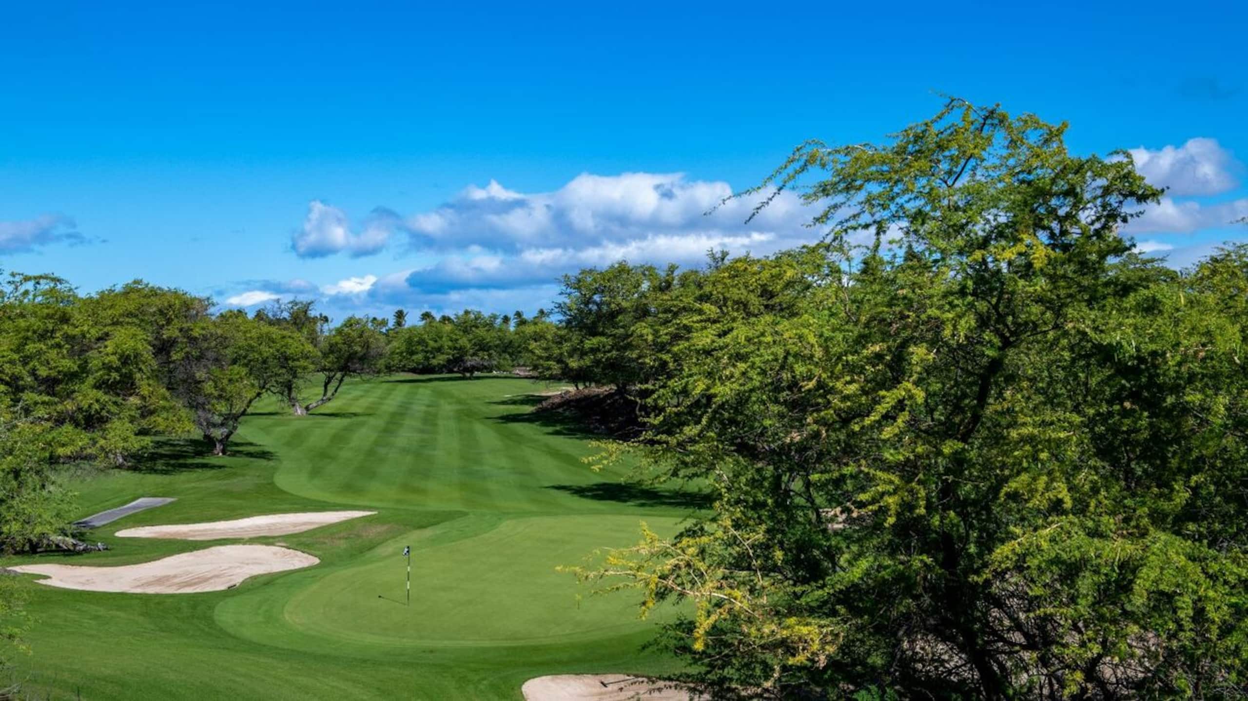 Condo in Waimea · ★4.8 · 3 bedrooms · 4 beds · 3.5 baths - Image 28