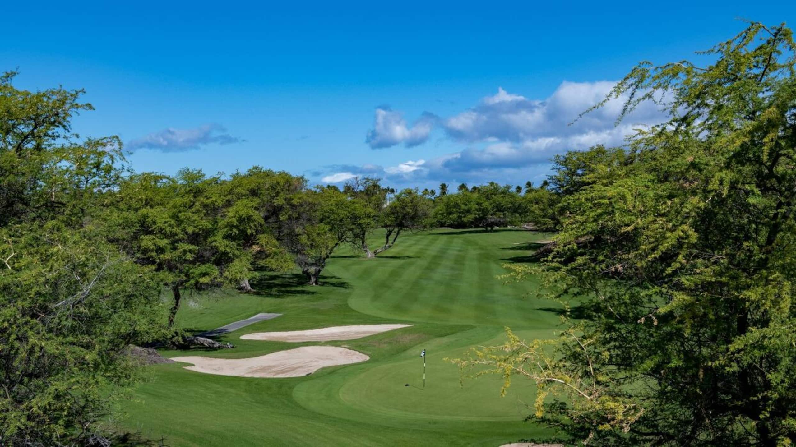 Condo in Waimea · ★4.8 · 3 bedrooms · 4 beds · 3.5 baths - Image 27