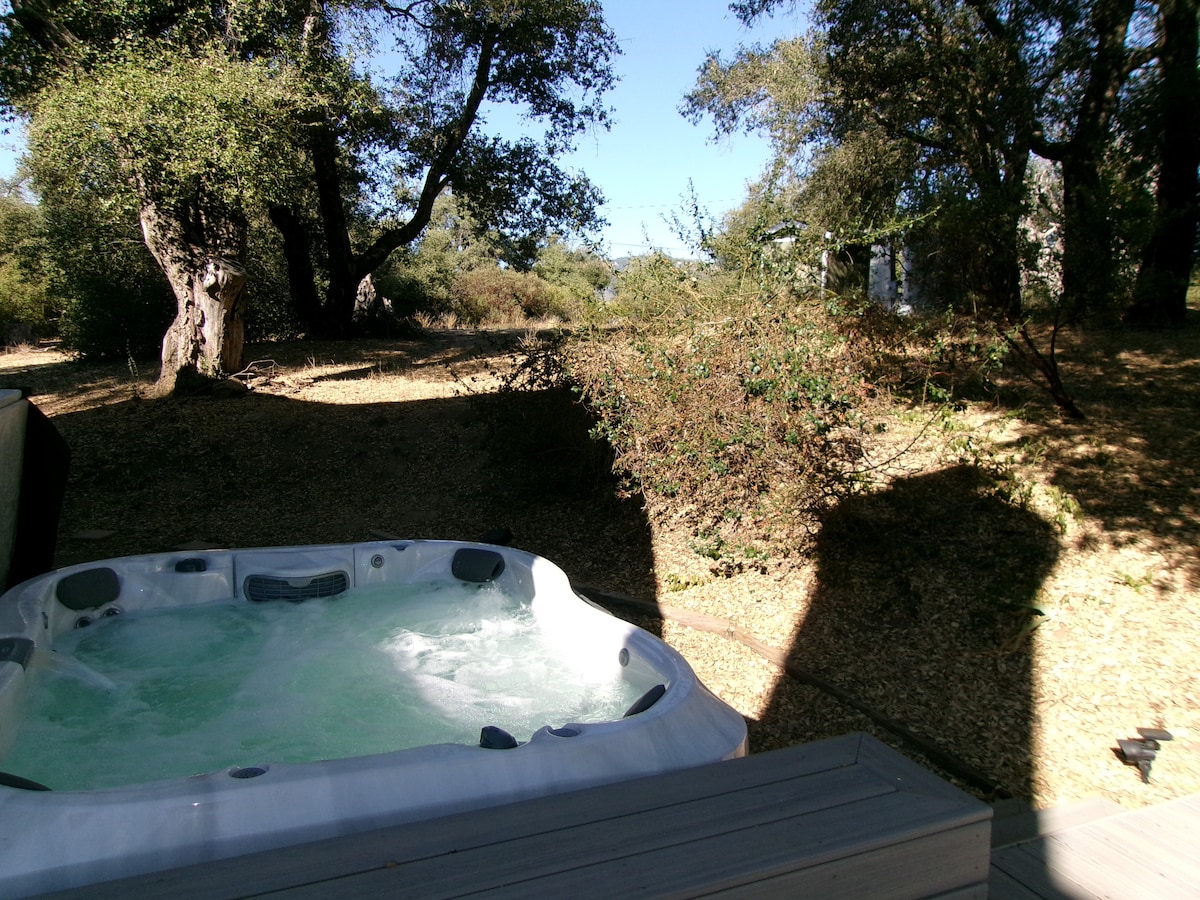 A spacious hot tub is nestled outside amidst lush greenery and natural landscaping. Sunlight filters through the trees, casting gentle shadows on the wooden deck. The scene offers a peaceful outdoor setting for relaxation in nature.