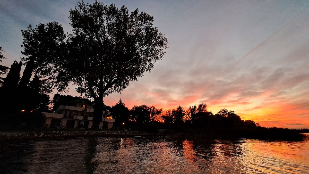 A serene lakeside view features a silhouetted tree against a vibrant sunset sky. The reflected colors dance on the water's surface, while a charming building is nestled among trees in the background, creating a peaceful atmosphere.