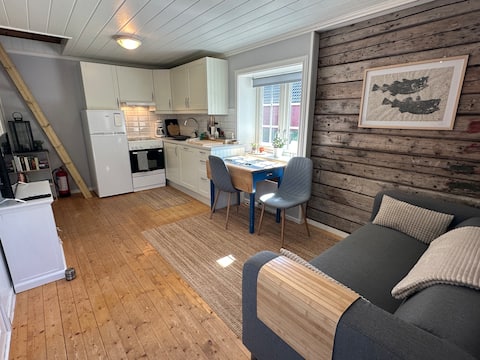 Cozy guesthouse in Moskenes, Lofoten