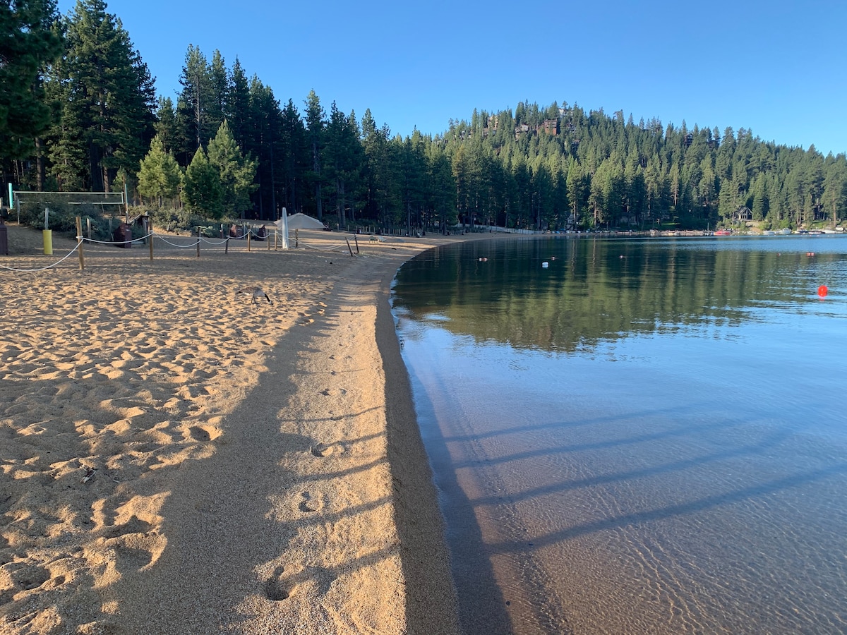 A serene beach scene is captured, featuring soft sand leading to calm waters. Towering pine trees surround the area, creating a natural backdrop. The gentle lapping of the water at the shore is visible, suggesting a peaceful atmosphere for relaxation.