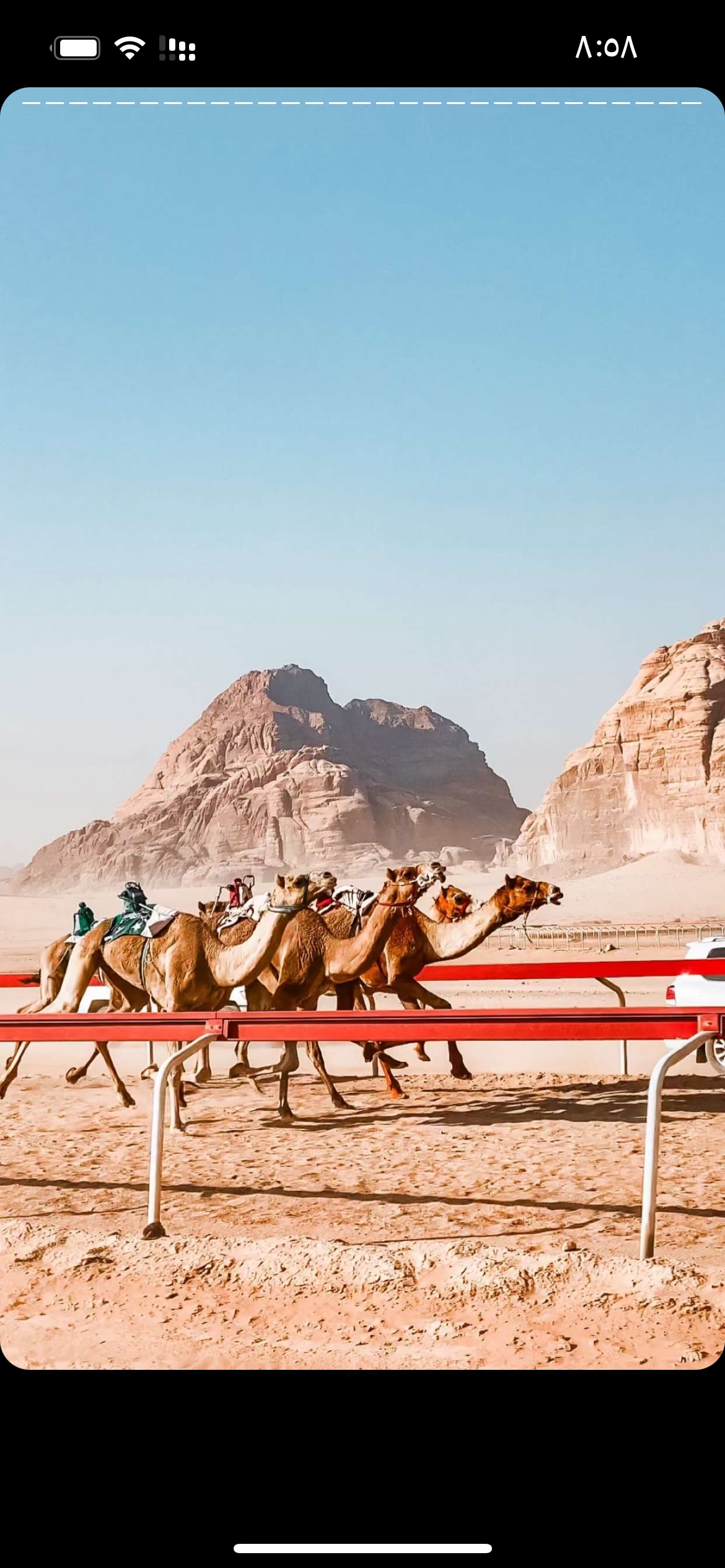 A line of camels is shown walking across a sandy landscape, with riders atop each camel. The backdrop features distinct rock formations and a clear blue sky, providing a captivating view of the Wadi Rum desert.