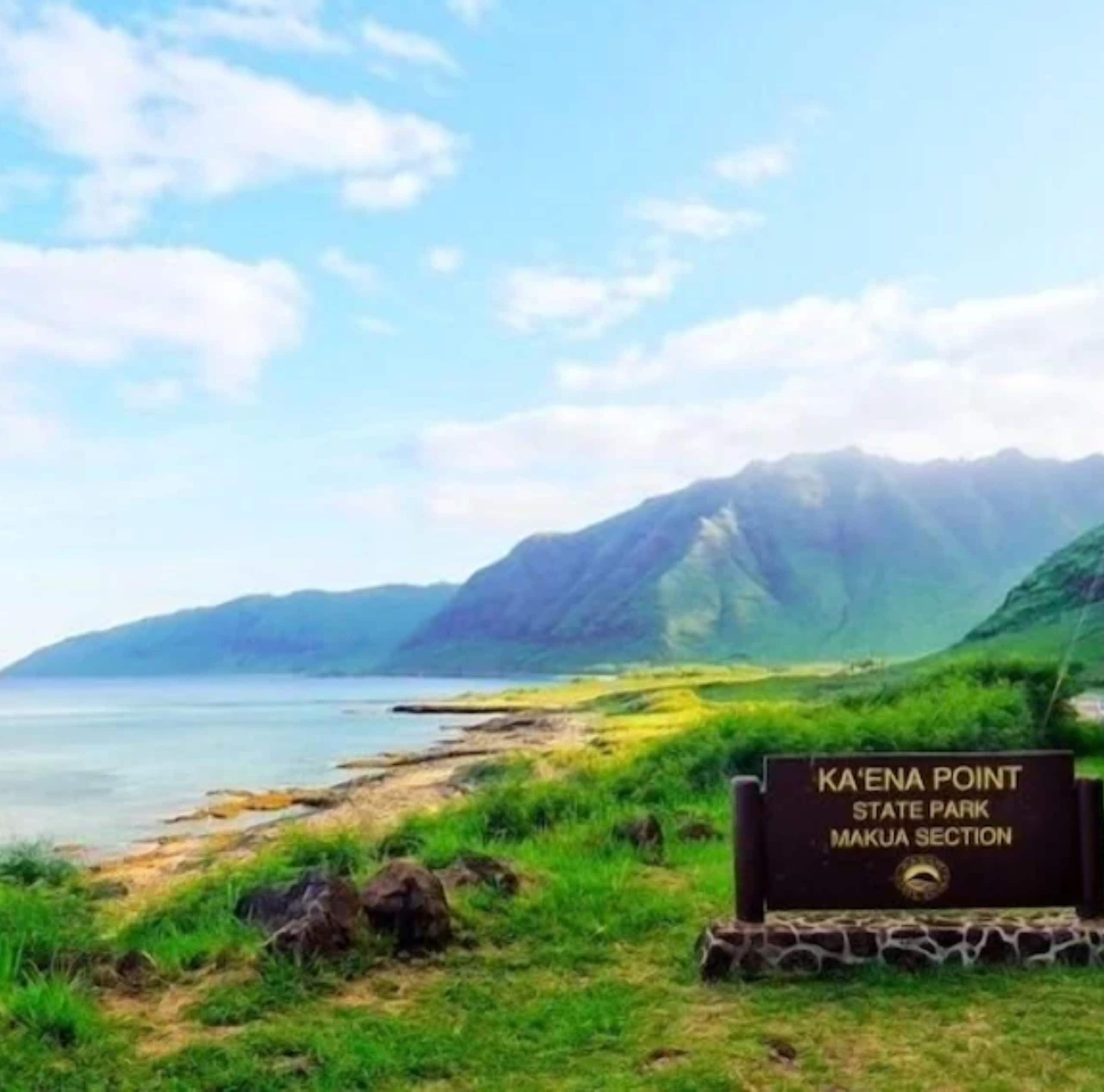 Home in Waianae · ★4.92 · 4 bedrooms · 4 beds · 2.5 private baths - Image 69