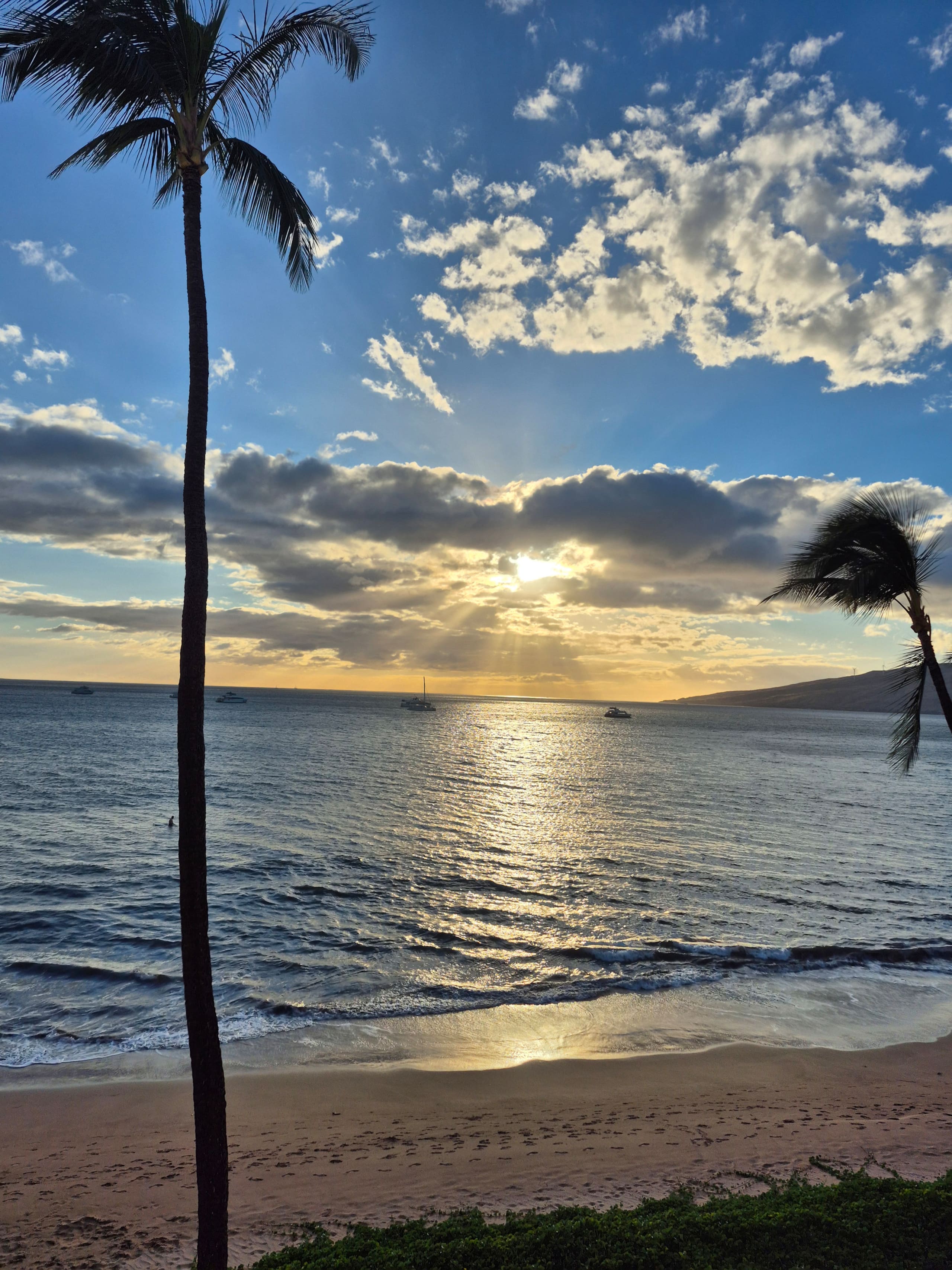Condo in Kihei · ★4.84 · 1 bedroom · 1 bed · 1 bath - Image 44