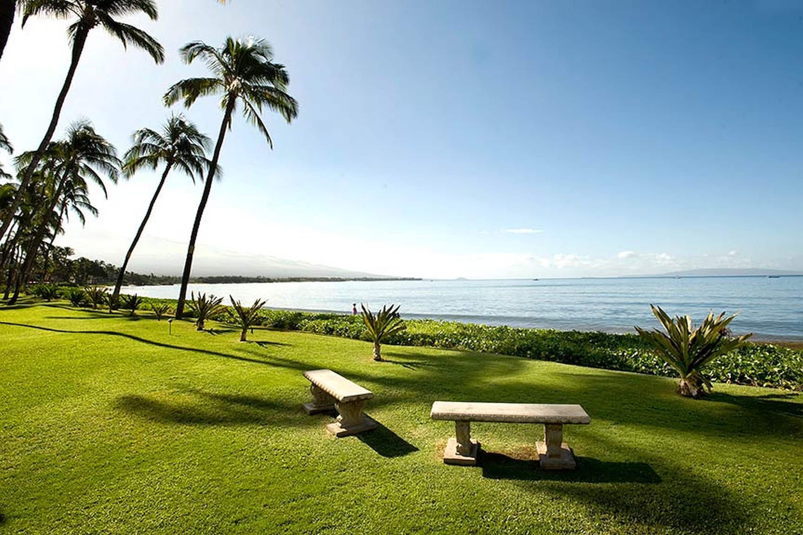 Condo in Kihei · ★4.84 · 1 bedroom · 1 bed · 1 bath - Image 22