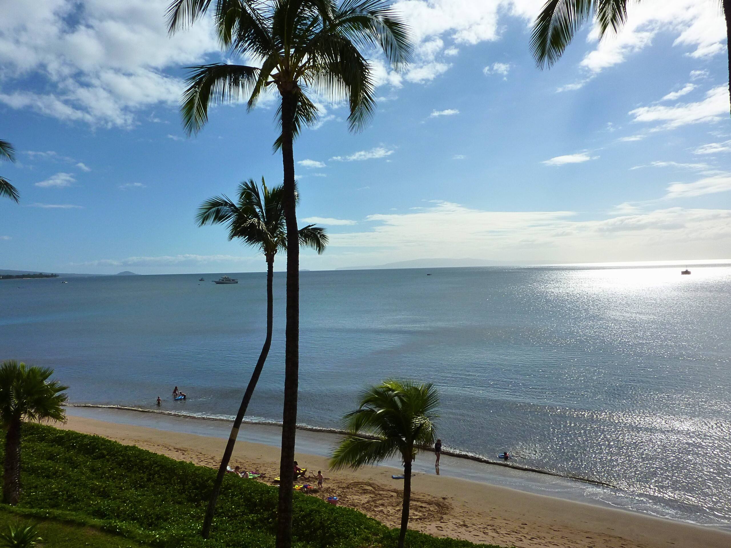 Condo in Kihei · ★4.84 · 1 bedroom · 1 bed · 1 bath - Image 30