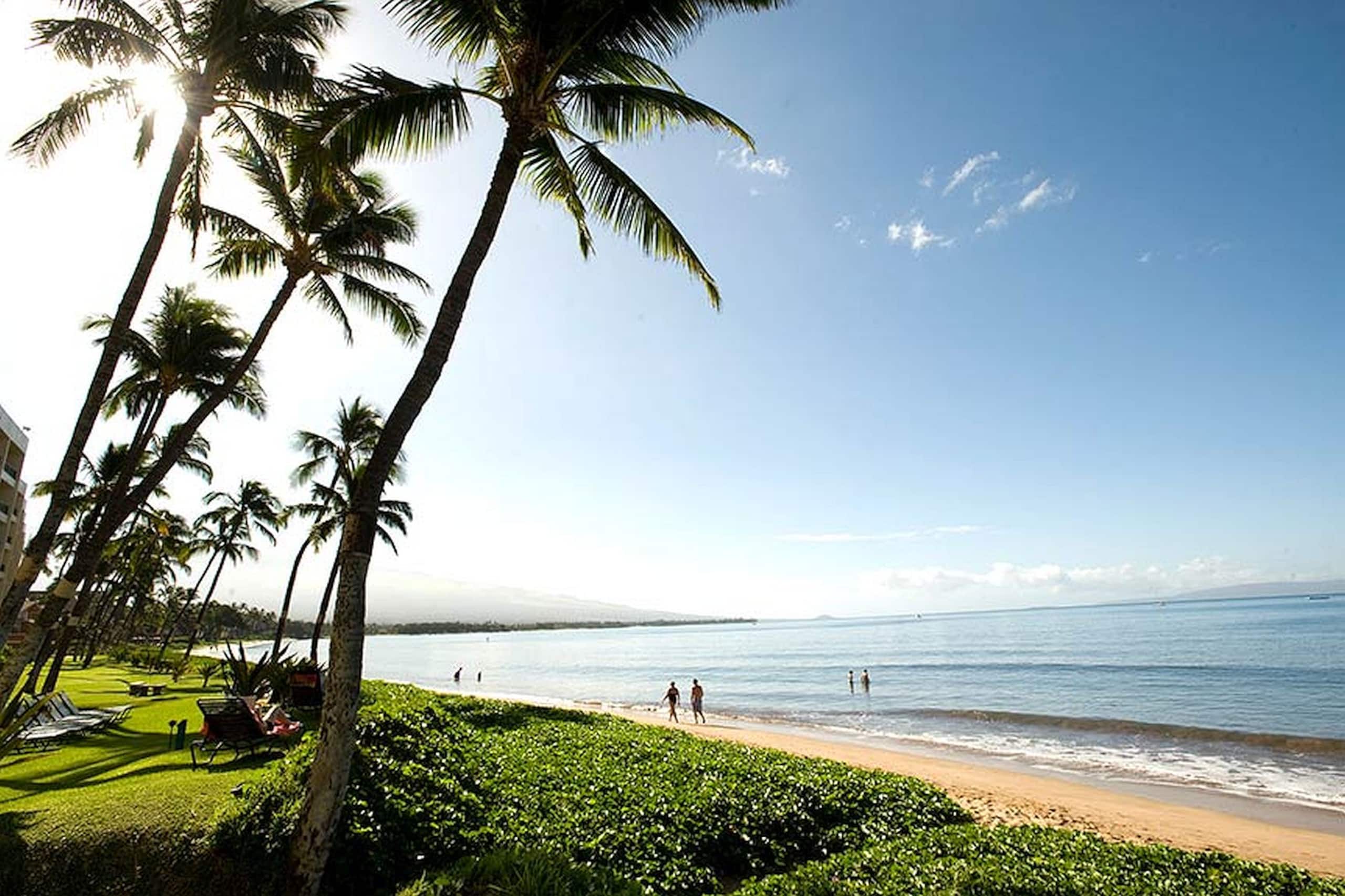Condo in Kihei · ★4.84 · 1 bedroom · 1 bed · 1 bath - Image 24