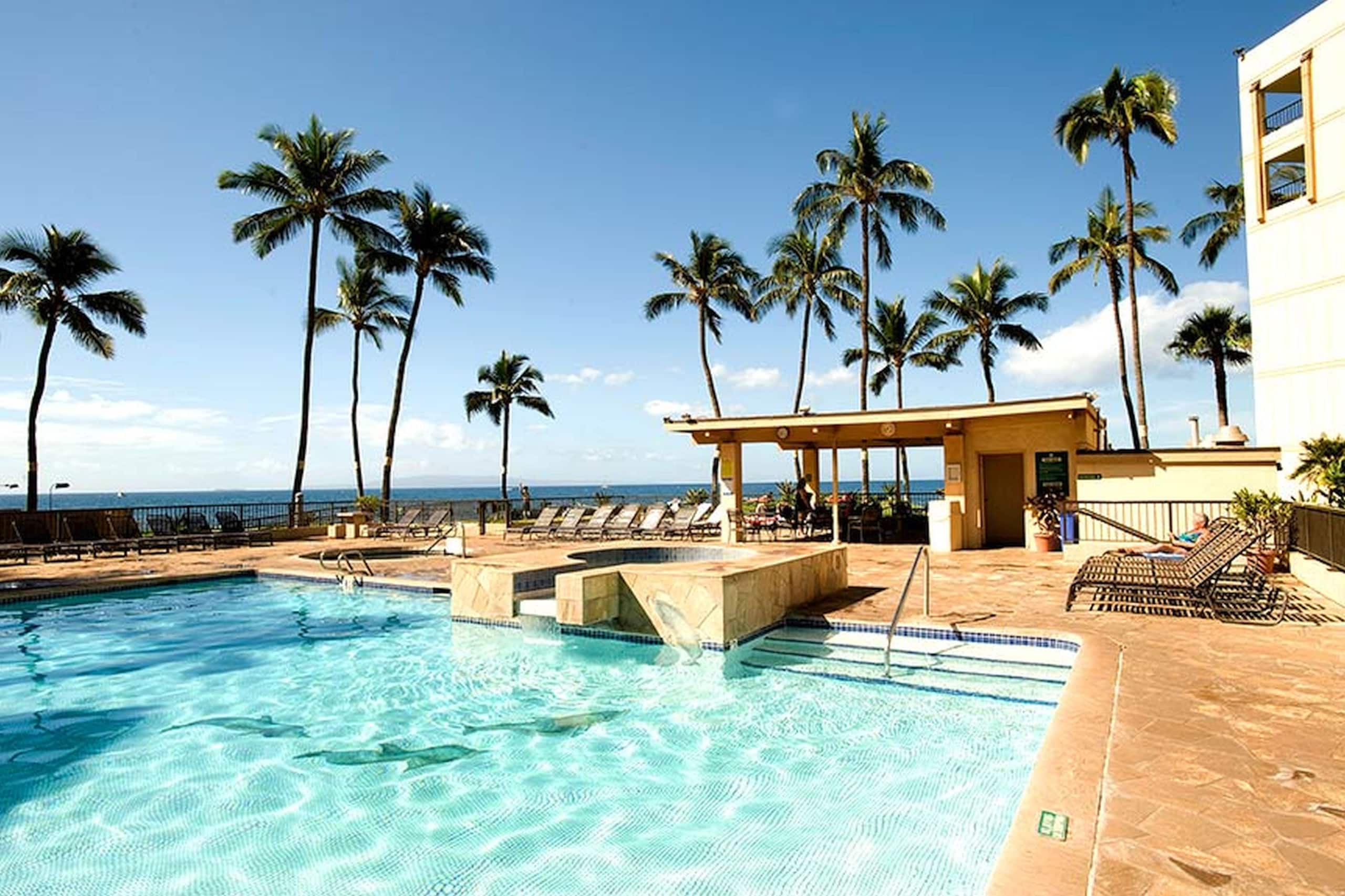 Condo in Kihei · ★4.84 · 1 bedroom · 1 bed · 1 bath - Image 35