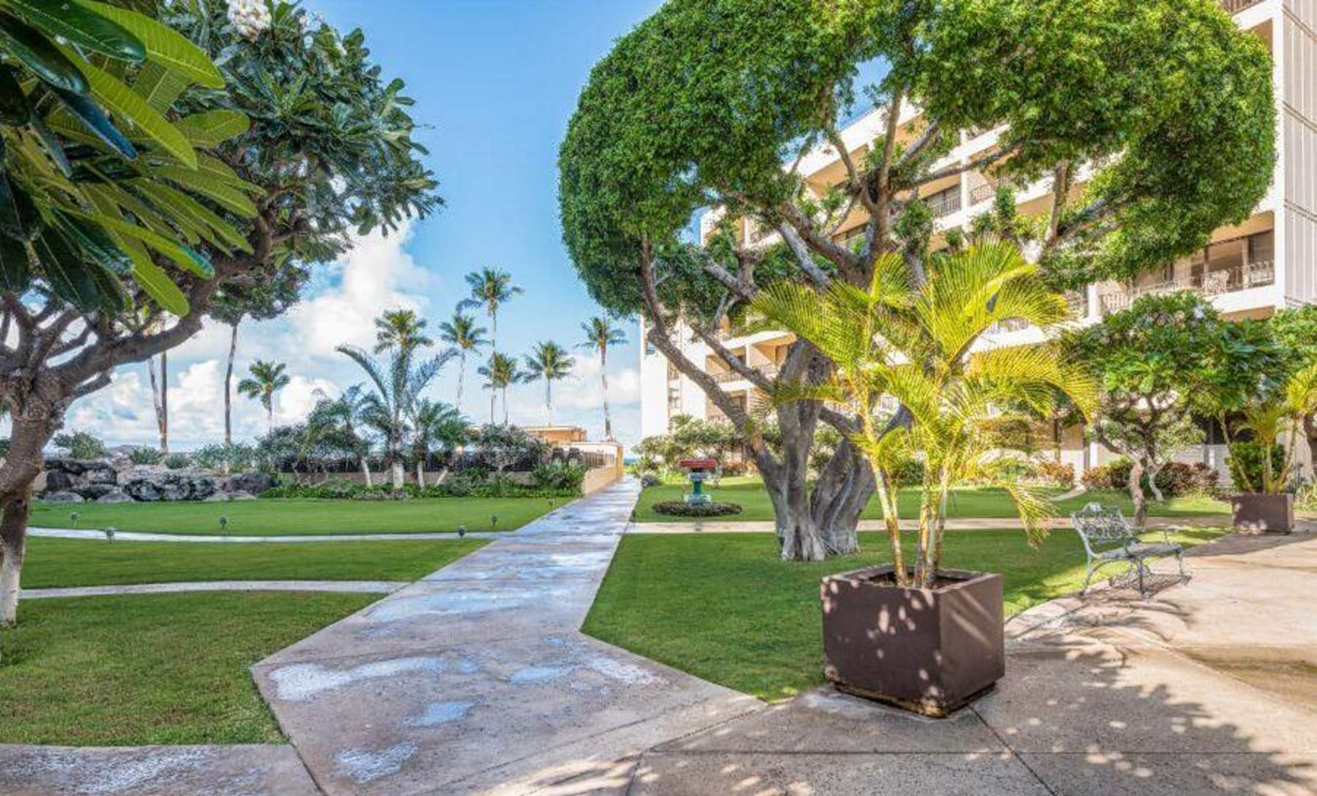Condo in Kihei · ★4.84 · 1 bedroom · 1 bed · 1 bath - Image 16