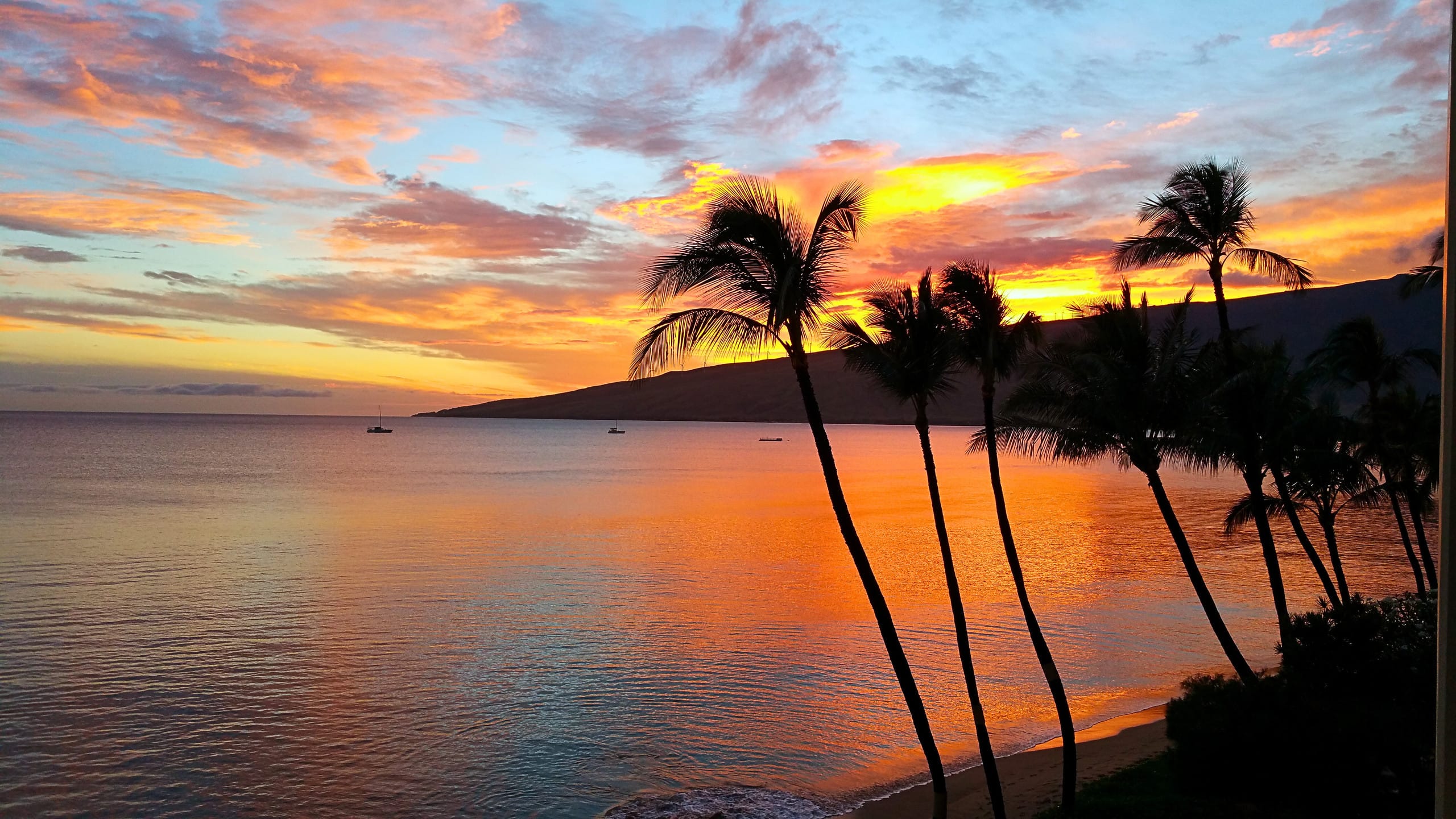Condo in Kihei · ★4.84 · 1 bedroom · 1 bed · 1 bath - Image 48