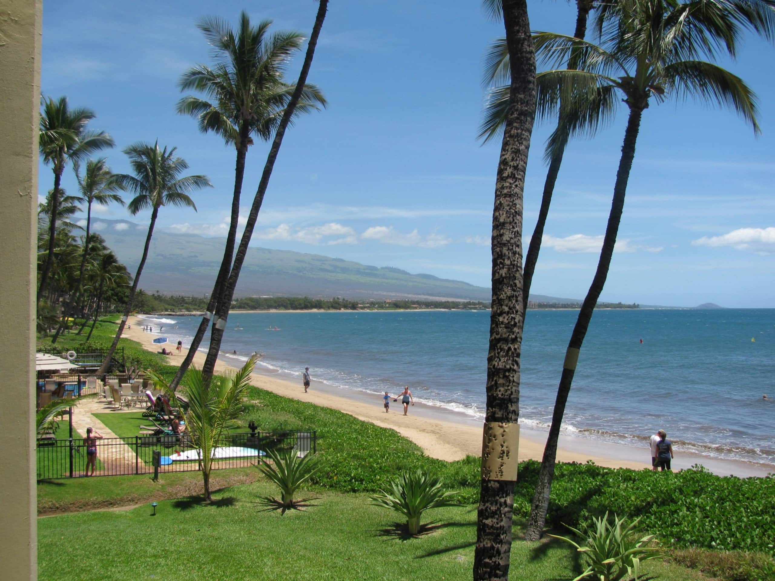 Condo in Kihei · ★4.84 · 1 bedroom · 1 bed · 1 bath - Image 25