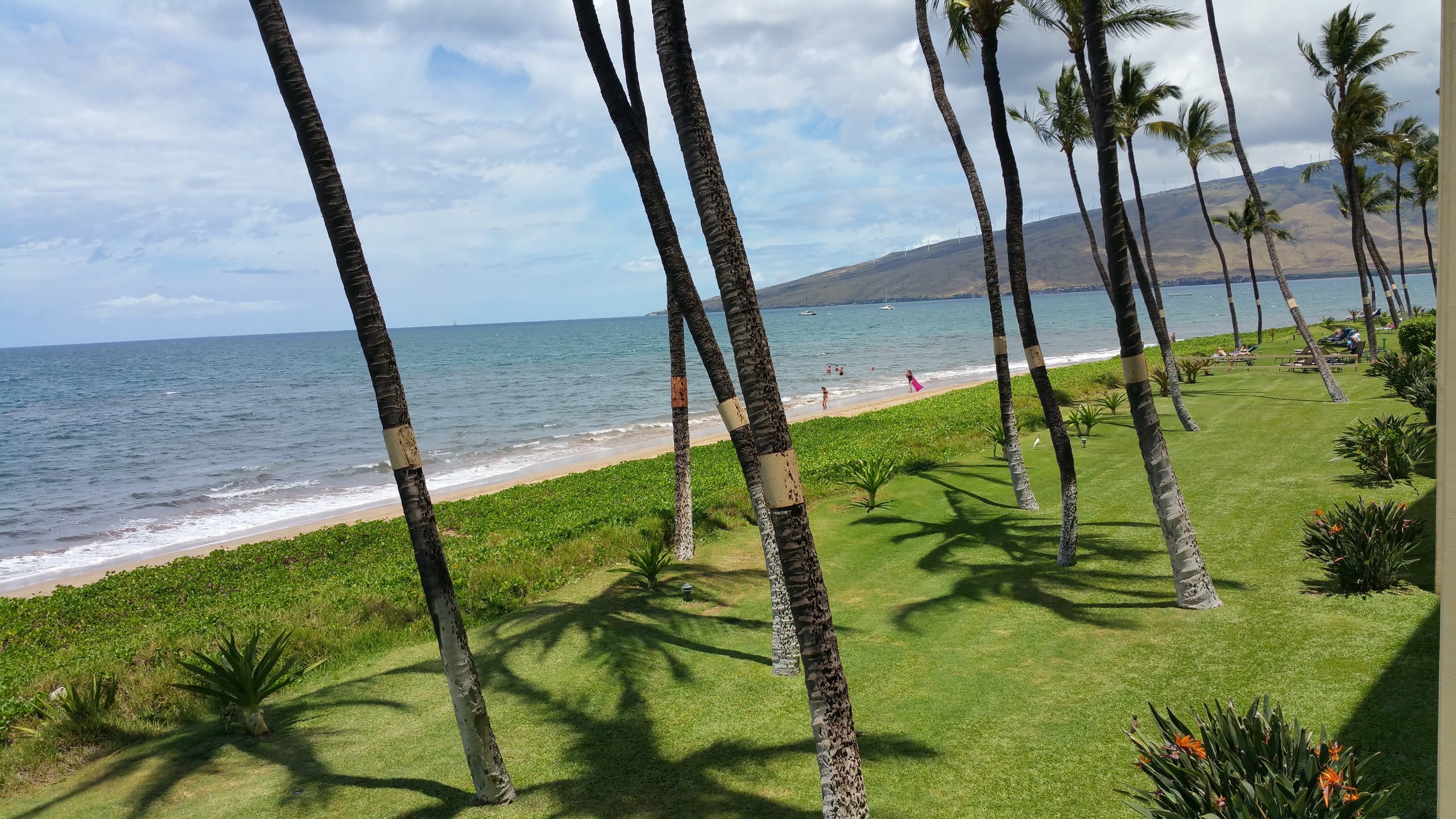 Condo in Kihei · ★4.84 · 1 bedroom · 1 bed · 1 bath - Image 26