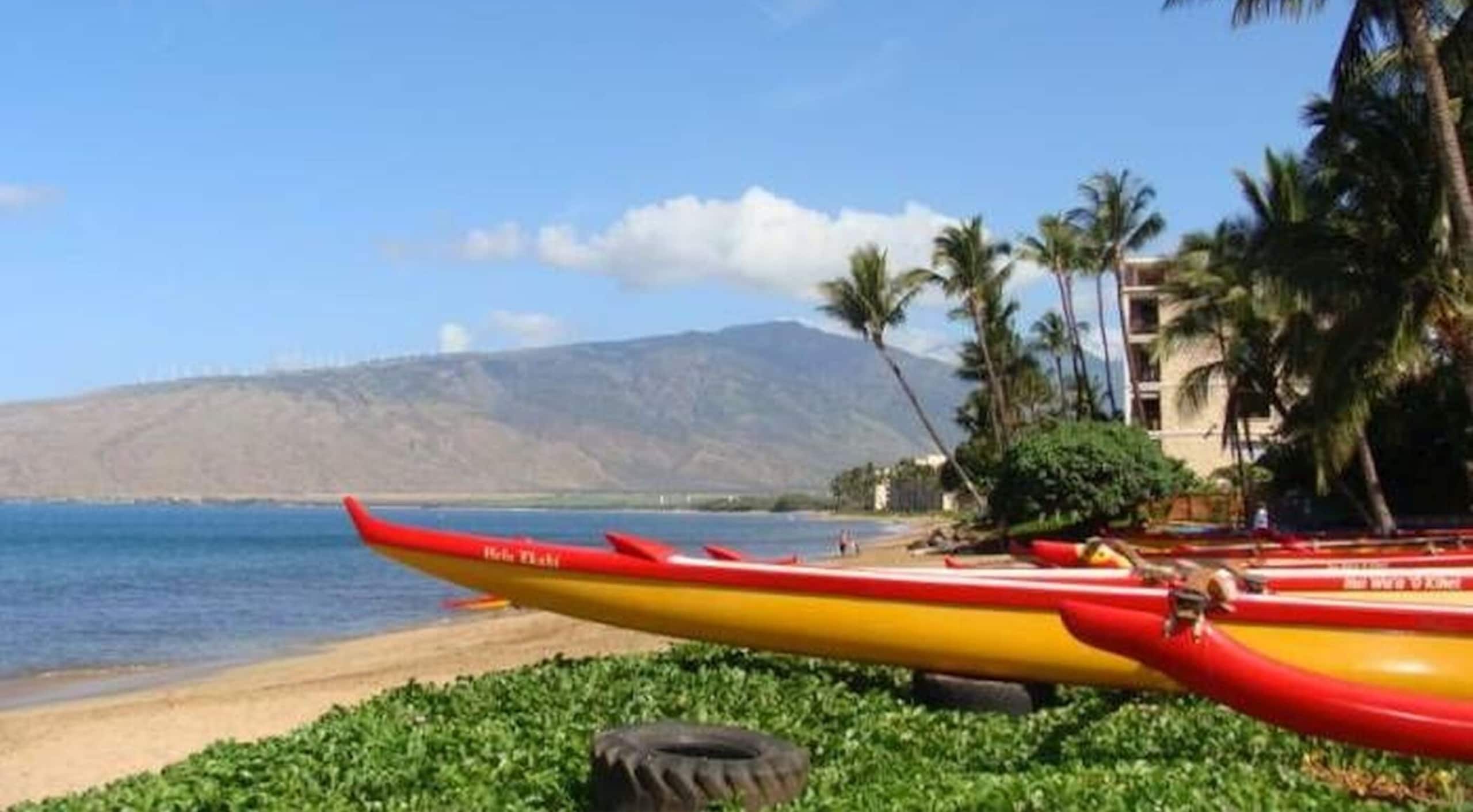 Condo in Kihei · ★4.84 · 1 bedroom · 1 bed · 1 bath - Image 34