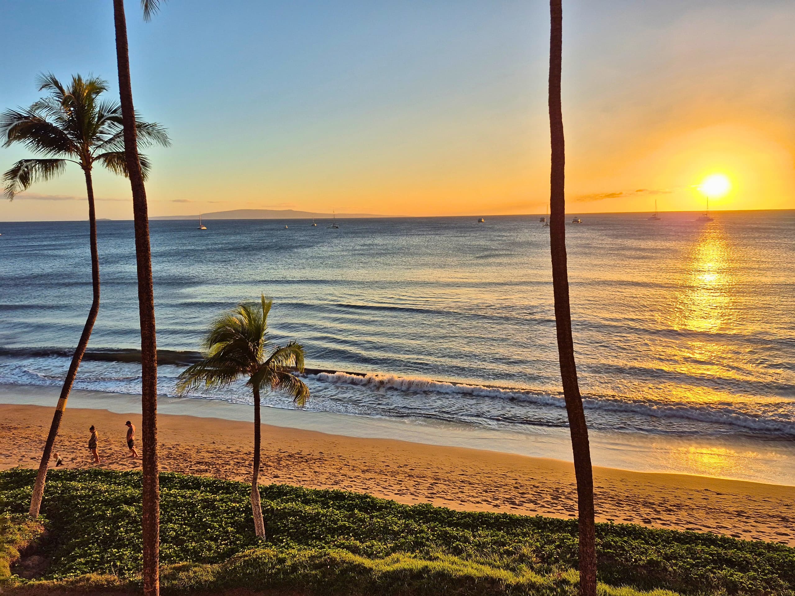 Condo in Kihei · ★4.84 · 1 bedroom · 1 bed · 1 bath - Image 49