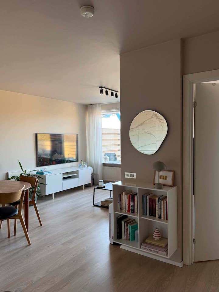 Newly Renovated Apt In Reykjavik - Reykjavík