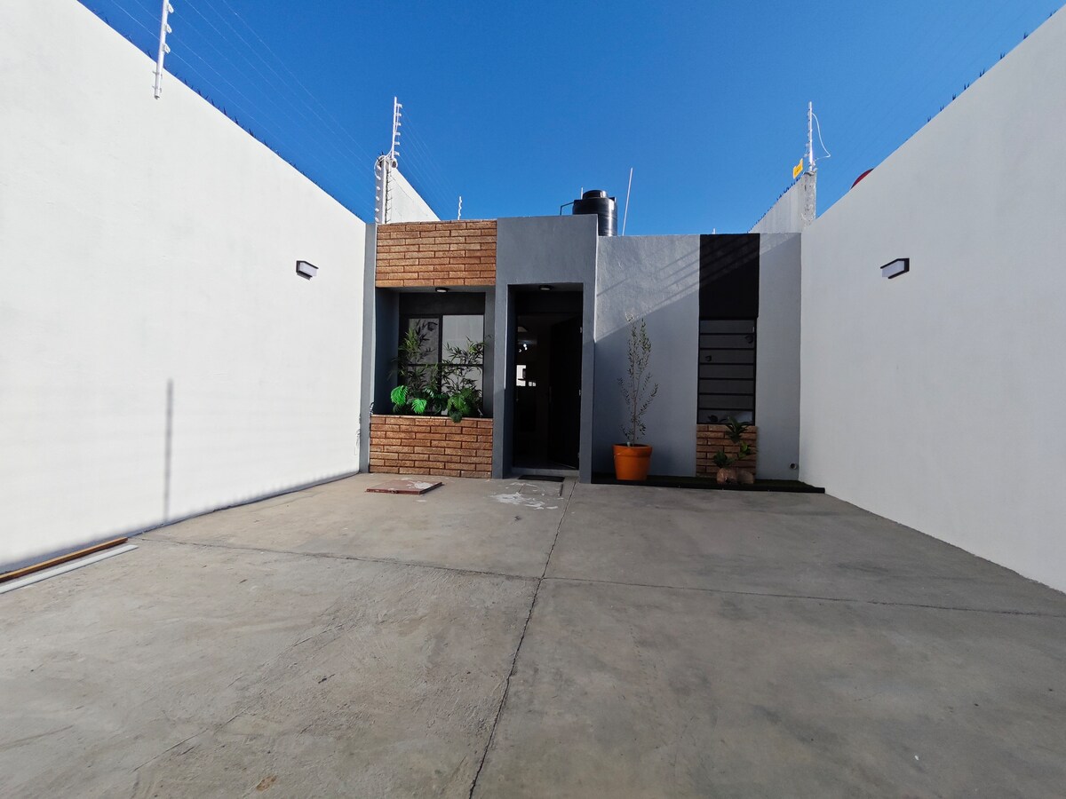 The entrance of the building features a modern facade with a mix of gray and brick materials. Green plants are placed near the entrance, enhancing the space. A concrete surface leads to the door, surrounded by high walls that provide privacy.