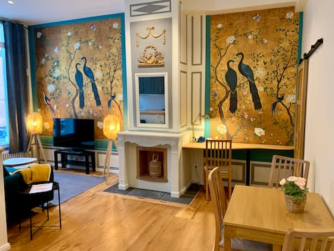 Beautiful 2 rooms old town