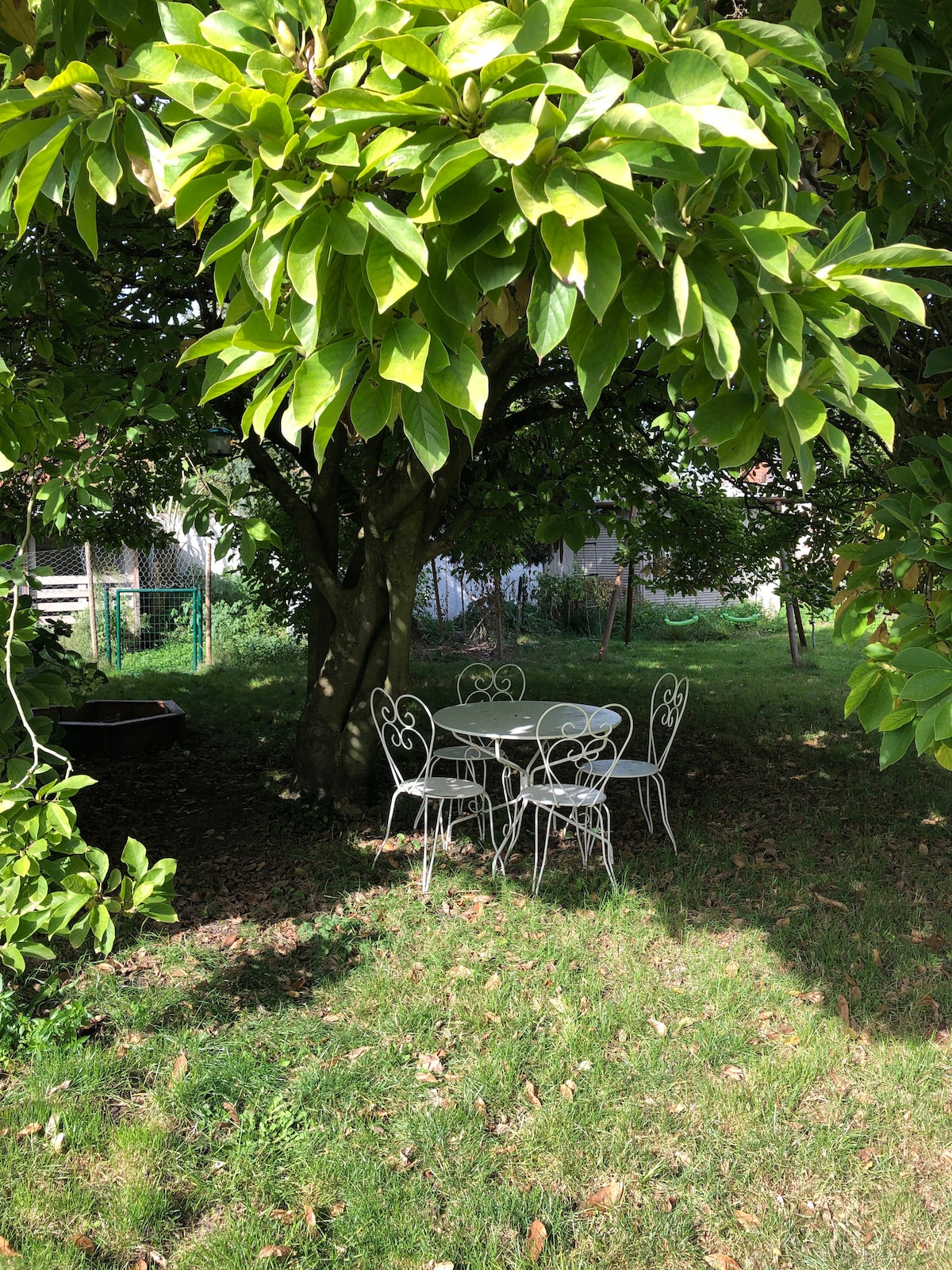 A shaded outdoor seating area is created by a tree's canopy. A small round table is surrounded by four white metal chairs, set within a grassy space adorned with patches of fallen leaves.