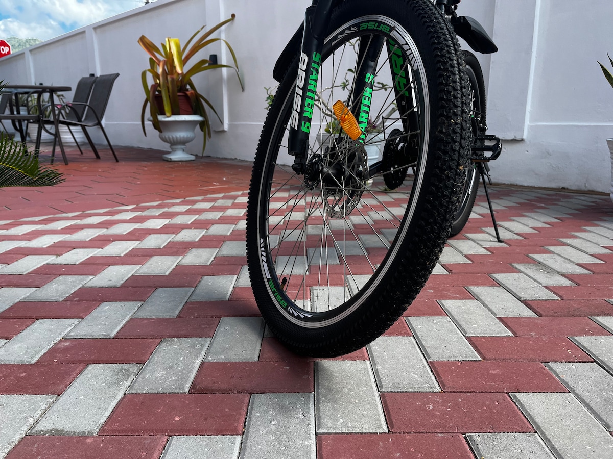 A close-up view of a bicycle parked on a patterned walkway, showcasing the textured tire against a backdrop of red and gray paving stones. In the distance, outdoor seating is visible along with potted plants adding to the outdoor setting.