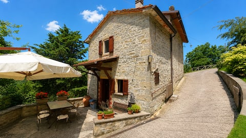 Tuscan House in the Green