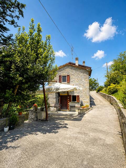 Tuscan House in the Green