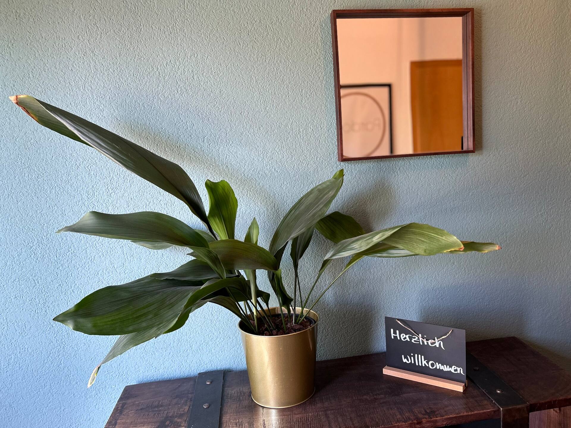 OhPardon! MICHELBACH - Garten & Balkon, Sauna, Netflix — photo 4
