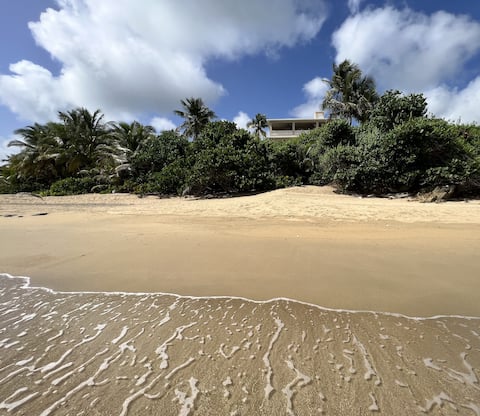 Sands Beachfront Tropical Beach & Pool Experience!