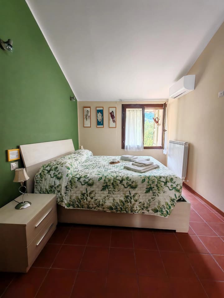Habitación 1