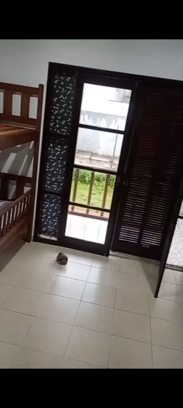 2 מיטות קומתיים ו -2 מיטות עזר