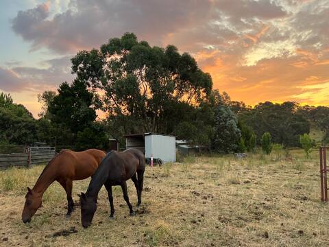 Tumbarumba Creek Cottage