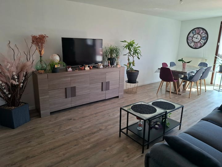 Joli Appartement Au Pied Des Montagnes Savoyardes - Albertville